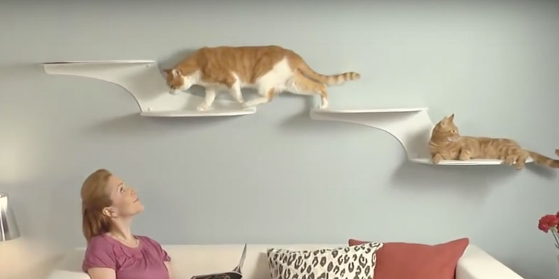 Review of The Refined Feline Cat Cloud Wall Cat Perch