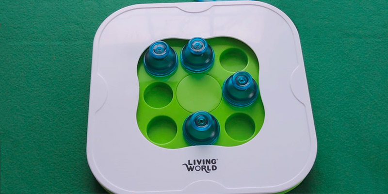 Review of Living World Teach N Treat Small Pet Toy