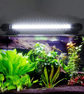 Review of MingDak Background Fish Aquarium Tank Light