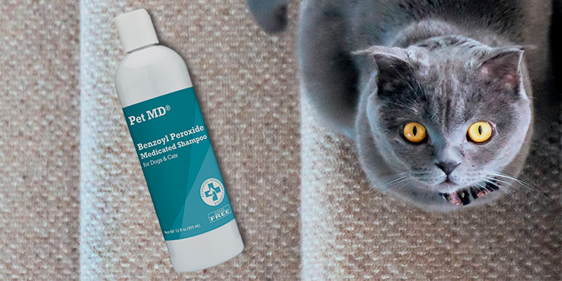Review of Pet MD Effective for Dandruff Shampoo for Dogs and Cats