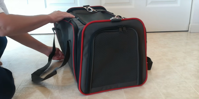 Review of Pet Peppy XMS1457 Airline Approved Expandable Pet Carrier