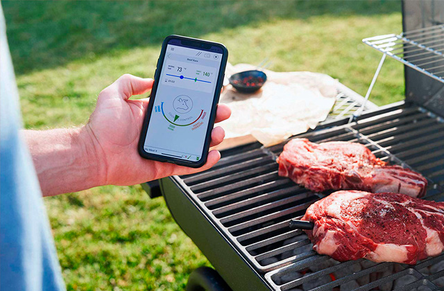 Comparison of Wireless Meat Thermometers