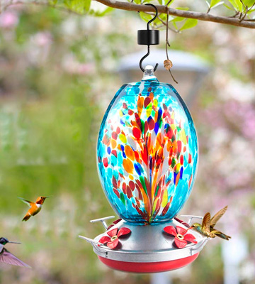Review of Muse Garden __Hummingbird Feeder for Outdoors, Hand Blown Glass