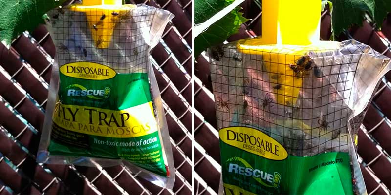 Review of RESCUE! [8 Pack] Outdoor Disposable Hanging Fly Trap