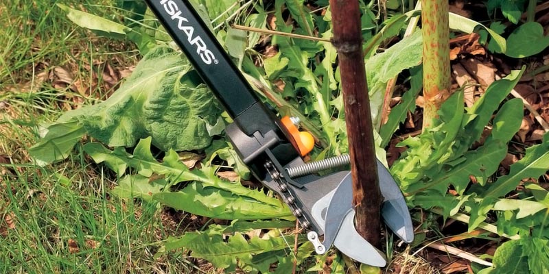 Review of Fiskars Extendable Tree Pruning Stik Pruner