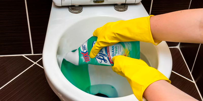 Review of Lysol Power & Fresh Toilet Bowl Cleaner