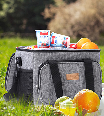 Review of Lifewit 15L Insulated Lunch Box