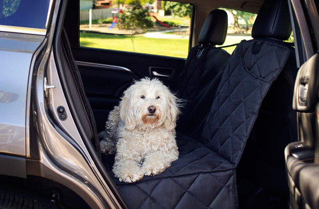 Best Dog Car Seat Covers  