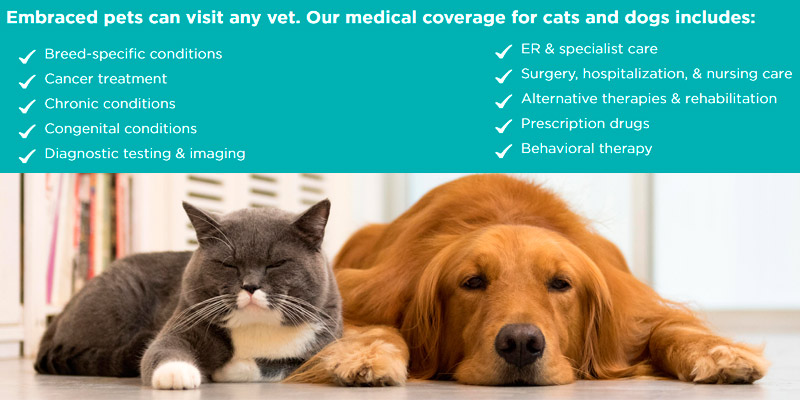 Review of Embrace Pet Insurance