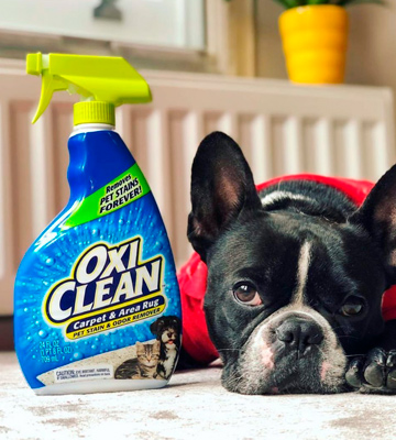 Review of OxiClean Pet Stain Remover Carpet and Area Rug