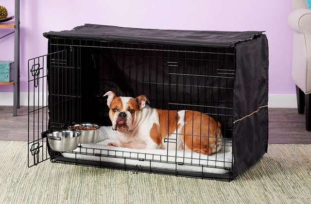 Best Dog Crate Covers  