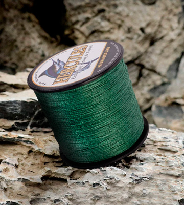 Review of Hercules Cost-Effective Super Strong 4 Strands Braided Fishing Line 6LB to 100LB Test
