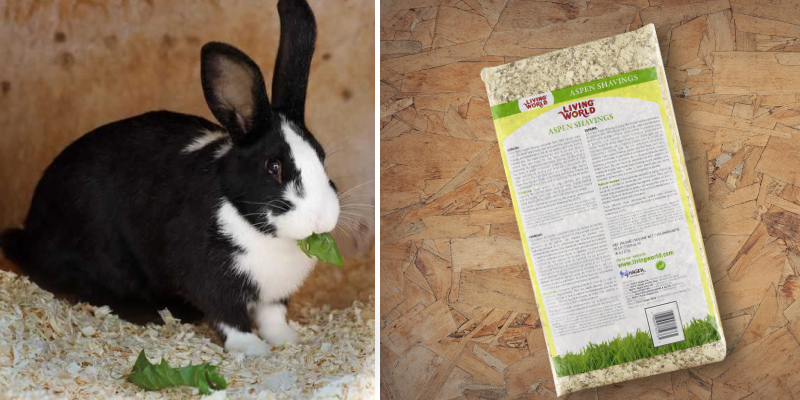 Review of Living World Natural Wood Aspen Shavings Bedding for Small Pets