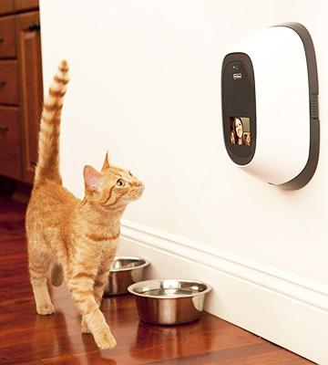 Review of PetChatz HD 2-Way Pet Cam with Calming Scent