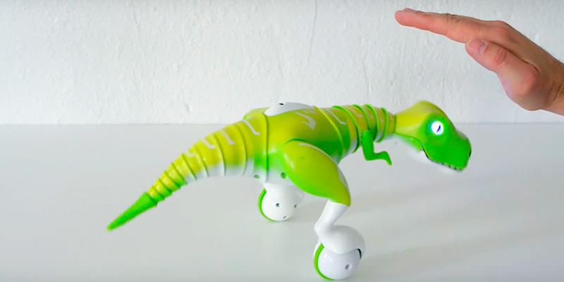 Detailed review of Zoomer Dino Remote Control Robot