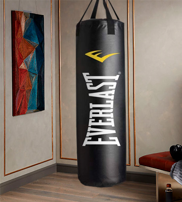Review of Everlast 40LB Heavy Punching Bags