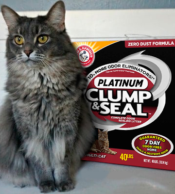 Review of Arm & Hammer Clump & Seal Platinum Sealing litter