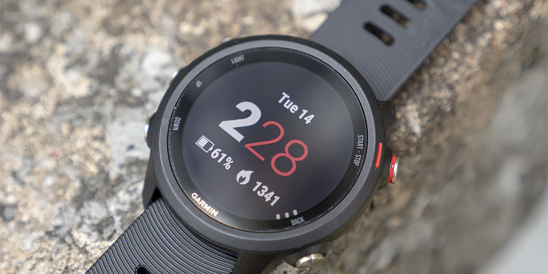 Review of Garmin Forerunner 245 Music, GPS Running Smartwatch