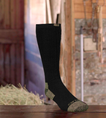 Review of Carhartt 2 Pack Full Cushion Steel-Toe Cotton Work Boot Socks