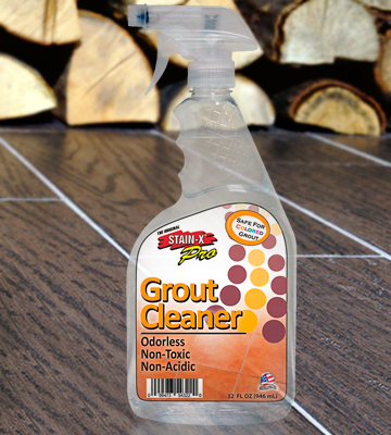 Review of STAIN-X 54232 Grout Cleaner