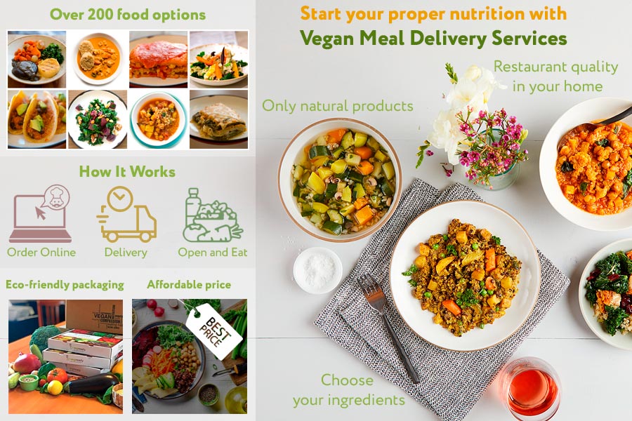 Comparison of Vegan Meal Delivery Services