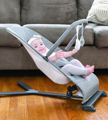 Review of Baby Delight BD05300 Go With Me Alpine Deluxe Portable Bouncer