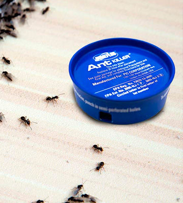 Review of Home Plus Metal Ant Traps Indoor & Outdoor Ant Killer