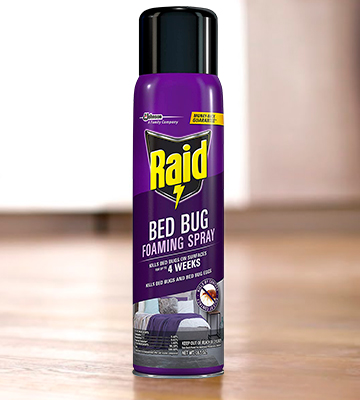 Raid Non-Staining Bed Bug Foaming Spray - Bestadvisor