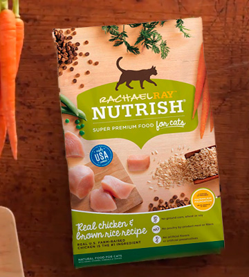 Review of Rachael Ray Nutrish Super Premium Dry Cat Food