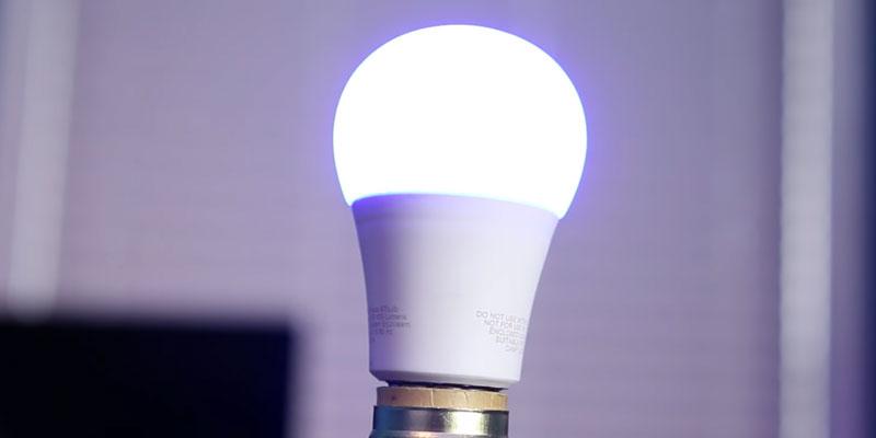 TP-LINK LB100 Smart LED Light Bulb in the use