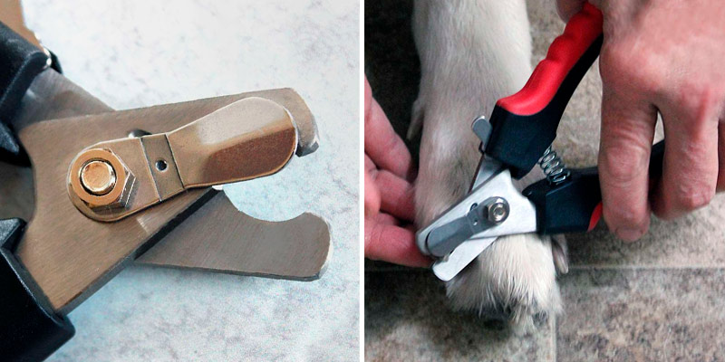 Review of Epica #1 Best Professional Pet Nail Clipper