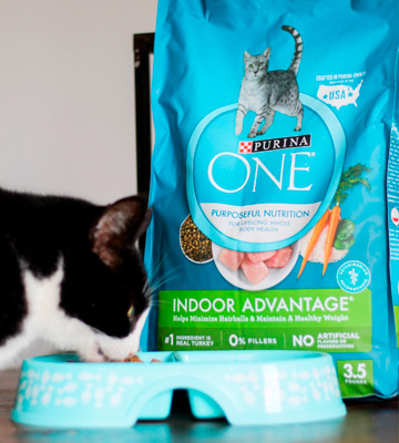 Review of Purina ONE Indoor Advantage Adult Cat Food