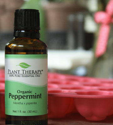 Review of Plant Therapy Mentha x piperita Organic Peppermint Essential Oil