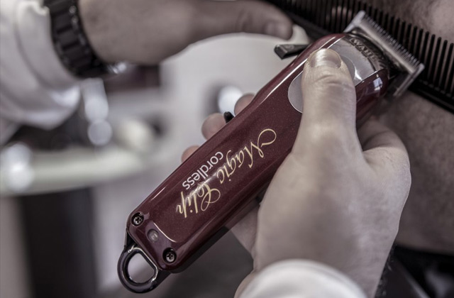 Best Wahl Hair Clippers  