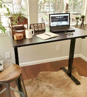 Review of FLEXISPOT EC1 Essential Standing Desk 48 x 30 Inches