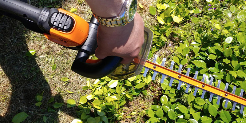 Review of WORX WG261 20V Power Share 22" Cordless Hedge Trimmer