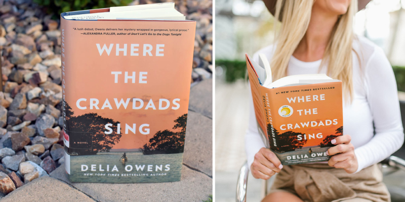 Review of Delia Owens Where the Crawdads Sing