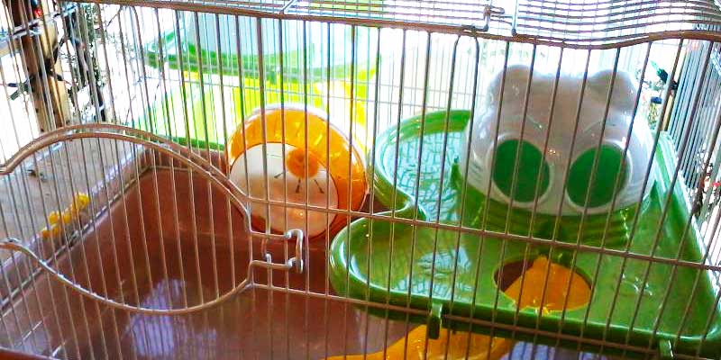 Review of Prevue Pet Products SP2005BL Hamster Haven