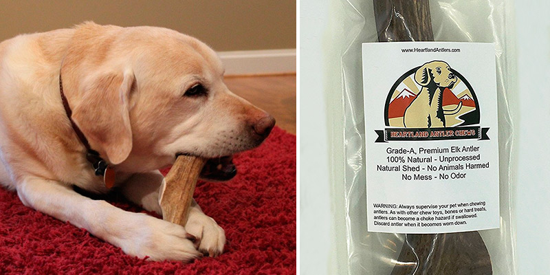 Review of Heartland Antlers Long Lasting Dog Treat