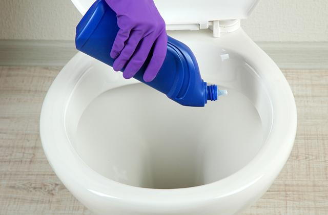 Best Toilet Bowl Cleaners  