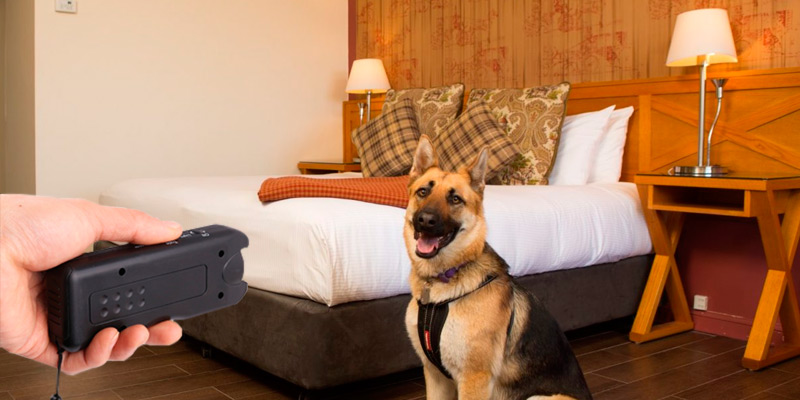 Review of APlus+ Classic Ultrasonic Infrared Dog Deterrent, Bark Stopper