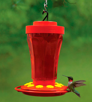 Review of First Nature Hummingbird Flower Feeder 32-ounce