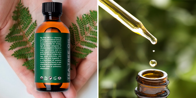Review of Eve Hansen Tea Tree Oil Pure Tea Tree Oil for Skin, Scalp, Nail Health, Aromatherapy | Acne Treatment, Lice Treatment and Skin Tag Remover