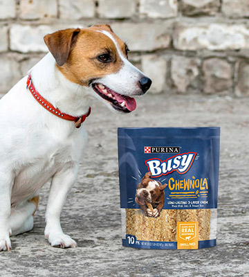 Review of Purina Busy Real Beefhide Dog Chews