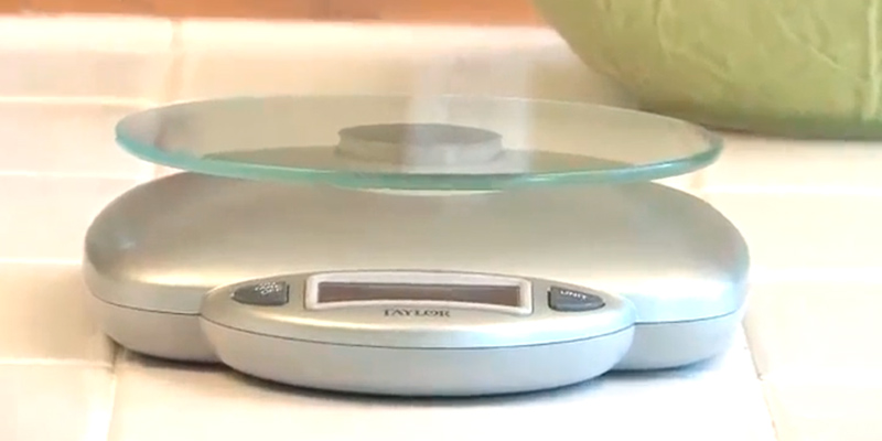 Review of Taylor Precision Products 3842 Digital Food Scale