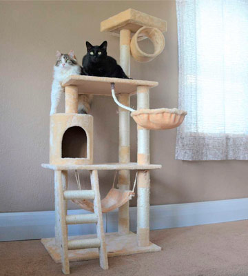 Review of Go Pet Club Cat Tree Furniture