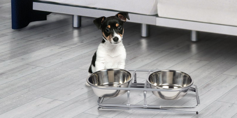Review of PetZone Stainless Steel Adjustable Elevated
