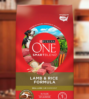 Review of Purina 14941 ONE SmartBlend Dry Dog Food