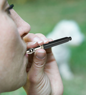 Review of Forepets Professional WhistCall Dog Whistle