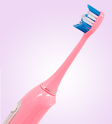 Review of Techege iBrush with Timer Pink Electric Toothbrush